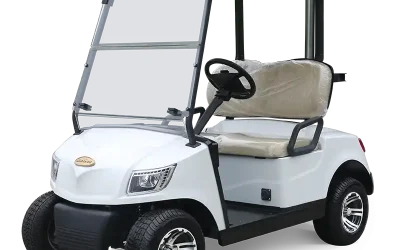 2 Seater Golf Cart