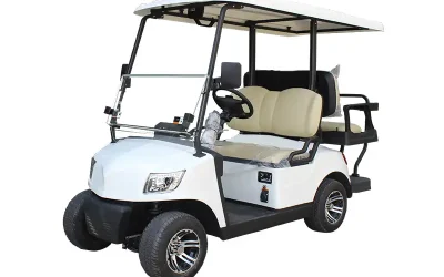 2+2 Seater Lithium Battery Golf Cart