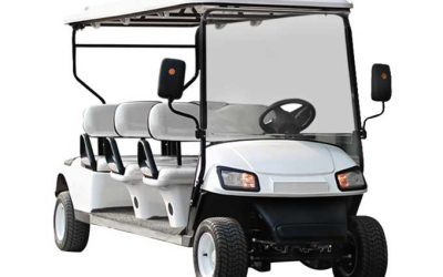 6 Seater Golf Cart