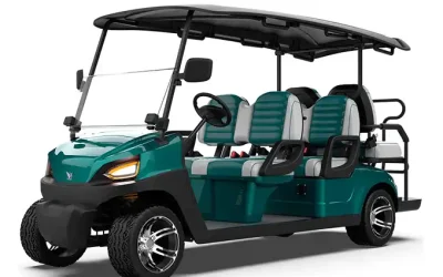 4+2 Seater Golf Cart