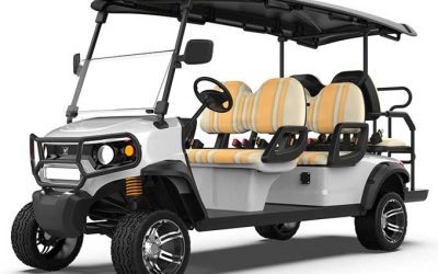 4+2 Seater Lifted Golf Carts