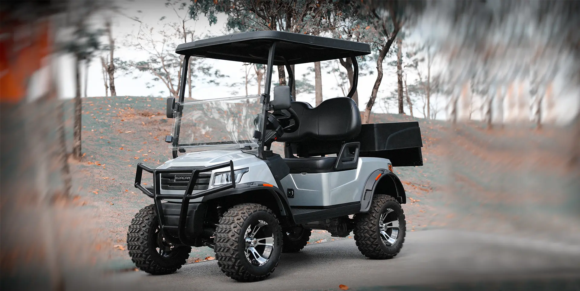 DEVELOPING BIG CONCEPTS